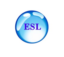 Electeck Services Limtied